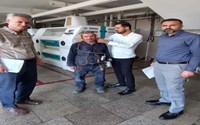 بازرسی مشترک عوامل زیان آور در کارگاه های شهرستان شاهین دژ