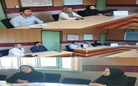 نشست تخصصی کارگروه مدیریت و پیشگیری از خودکشی